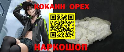 индика Камышлов