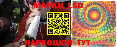 индика Камышлов