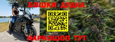 шишки Канаш