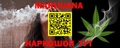 индика Камышлов