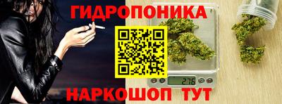 индика Камышлов