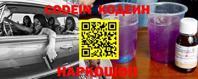 индика Камышлов